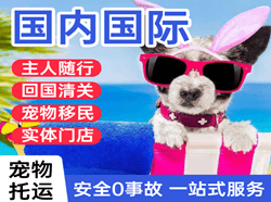 营口兰旗机场快运国际宠物托运 【国